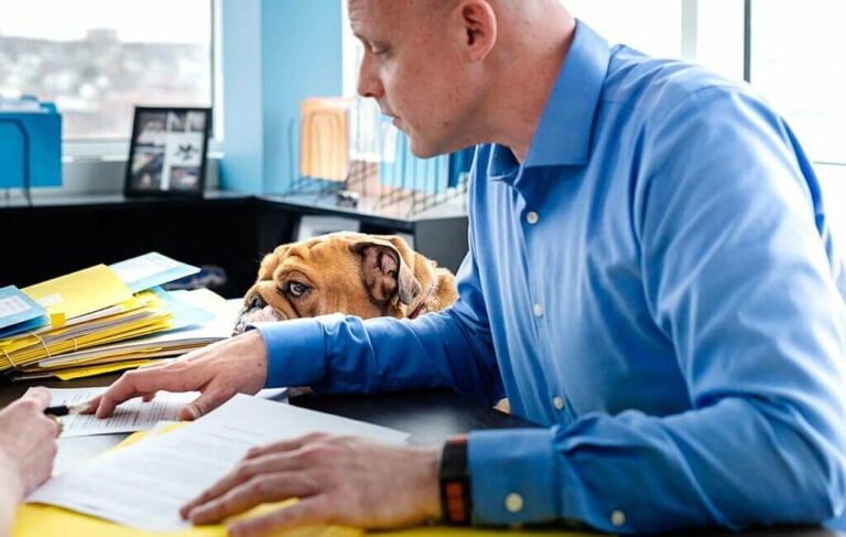 Myles Bilodeau, an experienced tax planning lawyer, sits at a boardroom table in the Arcus Legal office. He is dressed professionally in a dress shirt and is working on documents. His dog Brutus, a friendly companion, sits beside him, adding a warm and approachable touch to the professional setting.